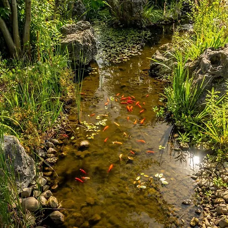 Dresdner Tor Sued Motel