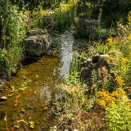 Motel Dresdner Tor Sued